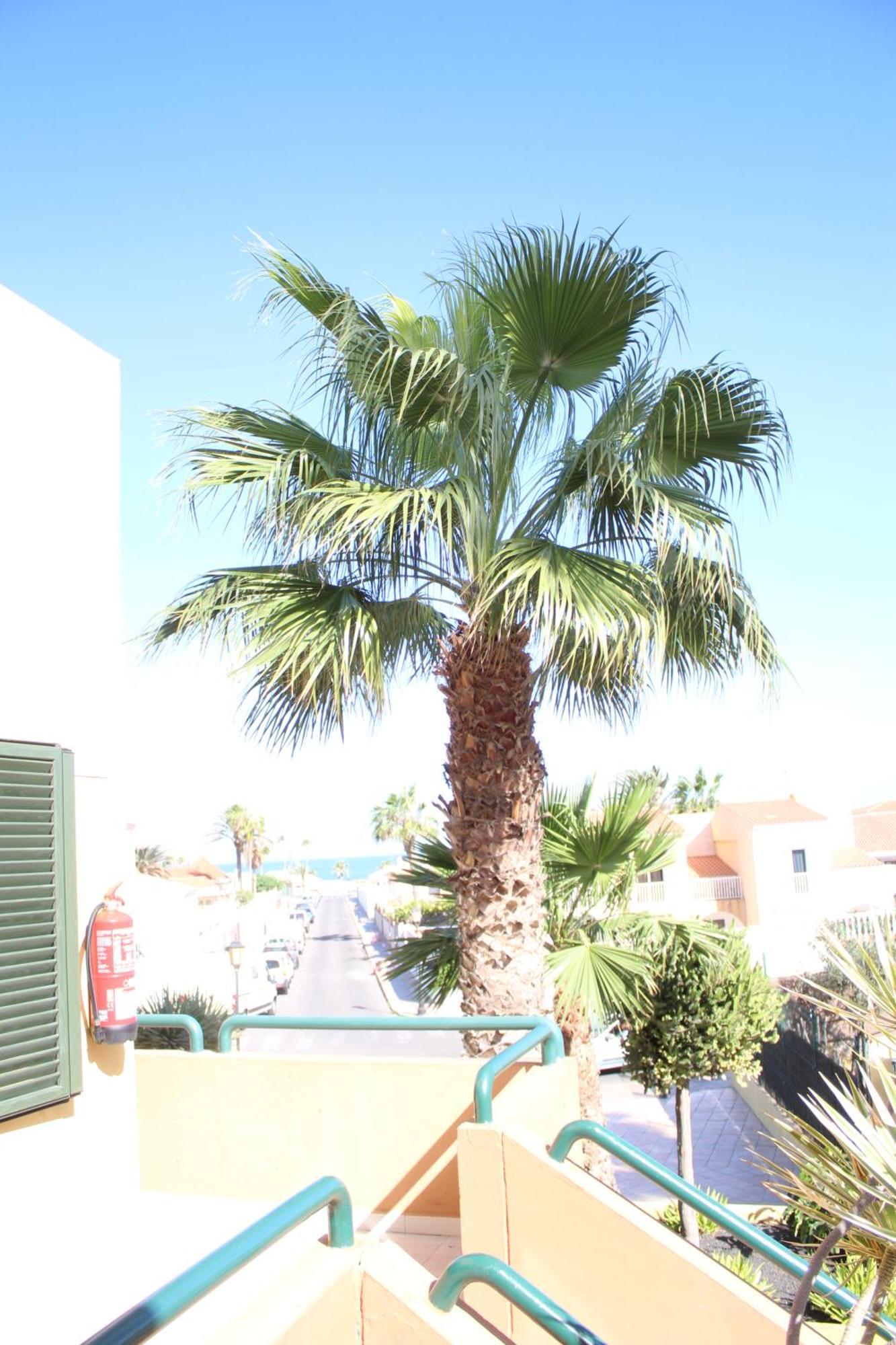 Pachi Beach Atlantic Garden Коралео Екстериор снимка
